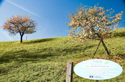 Wandern in der Steiermark